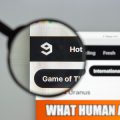 Using Heatmaps and User Behavior Tools to Improve On-Page SEO