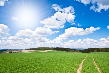 ChatGPT and the Changing Landscape of E-E-A-T in SEO