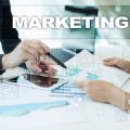 The Role of Social Proof in Influencer Marketing and SEO Rankings