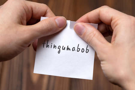 What is a Search Engine Bot? Functionality, Types, and SEO Implications