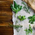 The Impact of Well-Crafted Meta Descriptions on U.S. Organic Search Traffic