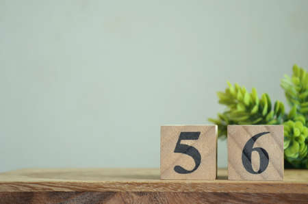 Micro-Influencers vs. Macro-Influencers: Which is Better for SEO?