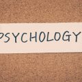 The Psychology of Visuals in SEO: How Image Choice Affects Click Behavior