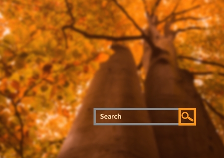 Tactical Approaches to Discovering U.S.-Specific Long-Tail Keywords
